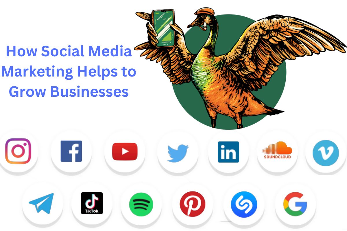 How Social Media Marketing Helps to Grow Businesses